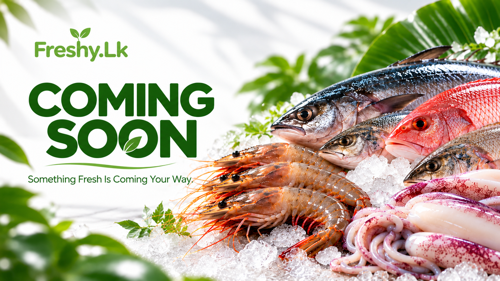 Fresh Seafood Coming Soon